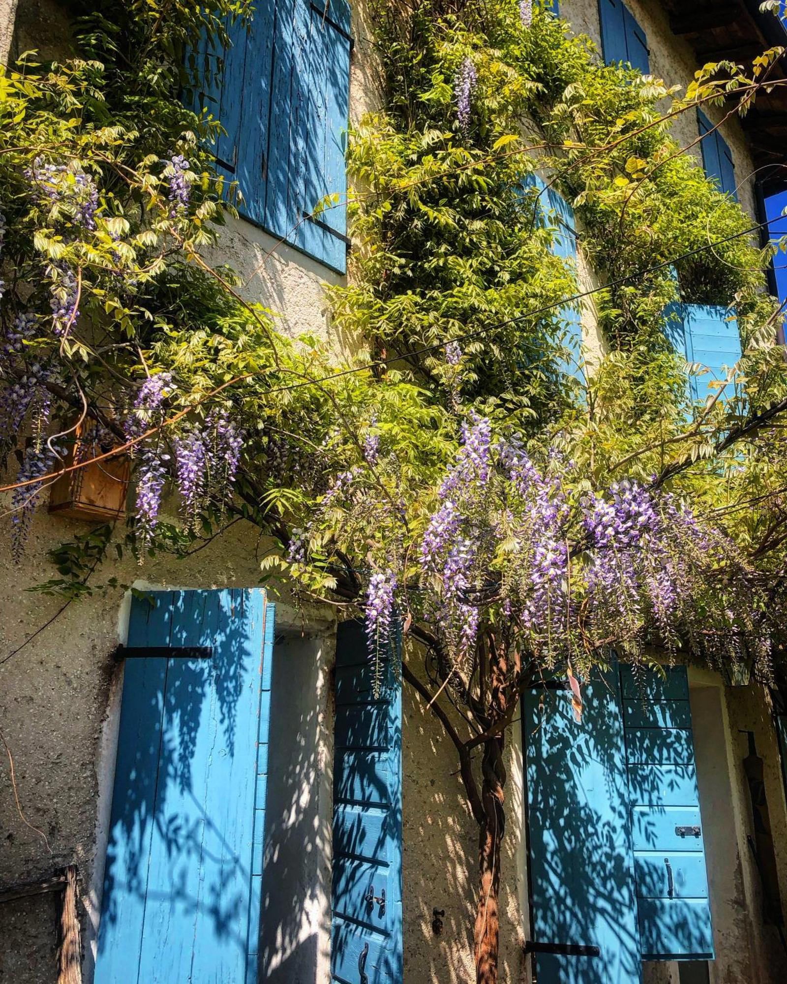 B&B Carlonga Caneva Exterior photo